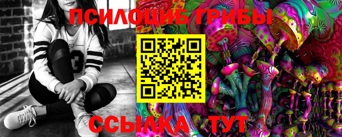 Семилуки  Псилоцибиновые грибы Psilocybe  Псилоцибиновые грибы GOLDEN TEACHER  Вход с VPN 